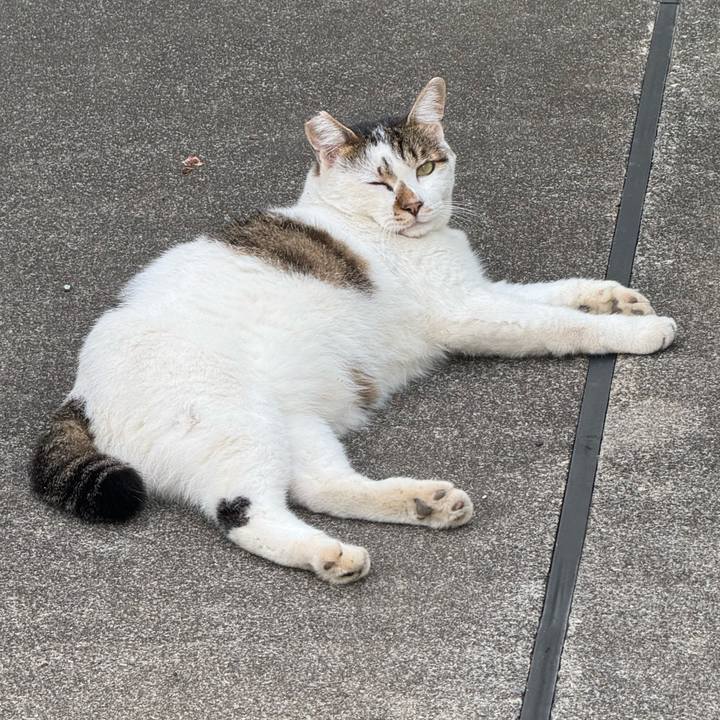 C754e5fc 10b3 4287 8a9f e56dac5795a2 1756435922945