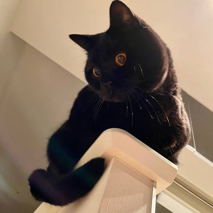 C754f372 e11b 4d13 8177 a5ae62db0a8c 1677327506361