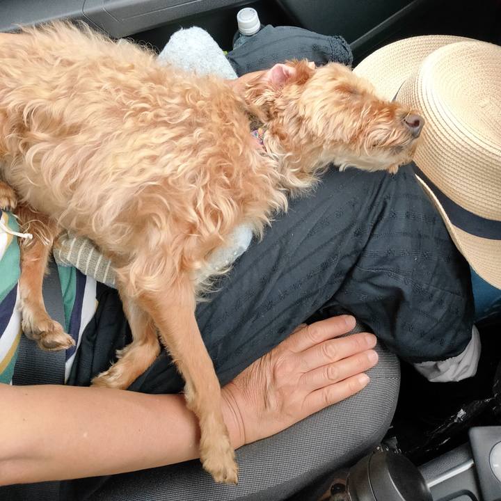 C7553579 1778 46bb 8ff2 b2c63a619a14 1596358139545