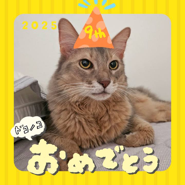 C7558bfe 8ab8 4e94 9d2c 298b3ed7041b 1749356196713