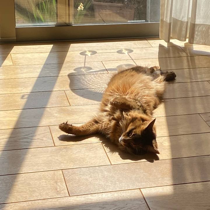 C755b685 0184 48bf 9076 6d6d89cfb95f 1678531389235