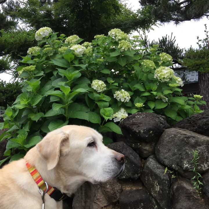 C7563a02 fd77 4d2e 8ac5 a5c6fcaf9d13 1528773110484