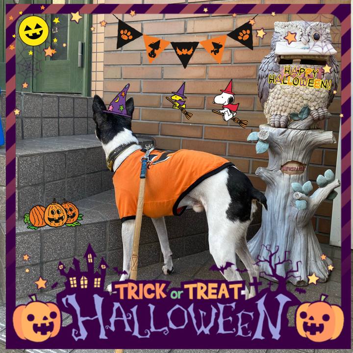 C756494b 276d 4fe7 9415 49d010cc5c6d 1604103909755