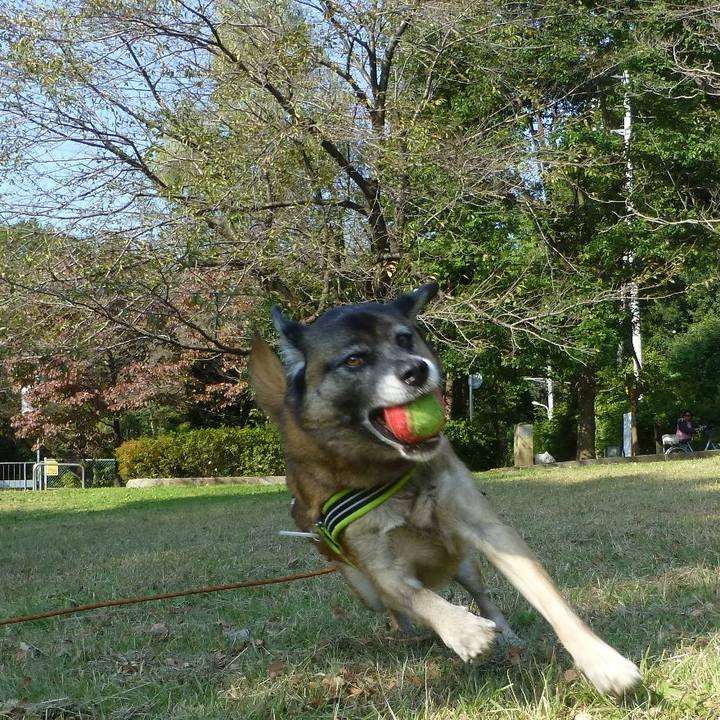 C75680ba c93b 49e0 8c04 9c39e1f5fe40 1580767405150