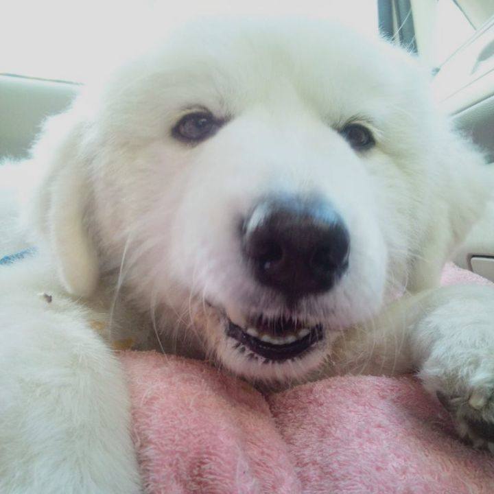 C756ce2e 4011 4bc5 b327 379ebf5c89ad 1685055892430