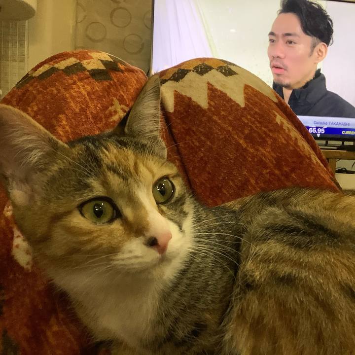 C756f664 9d9a 43ed a979 97ee78f7736d 1576843324066