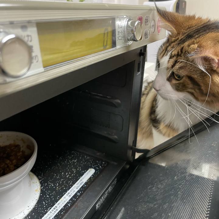 C75712e4 af7f 4d66 900e d49b78e5320d 1645217199400