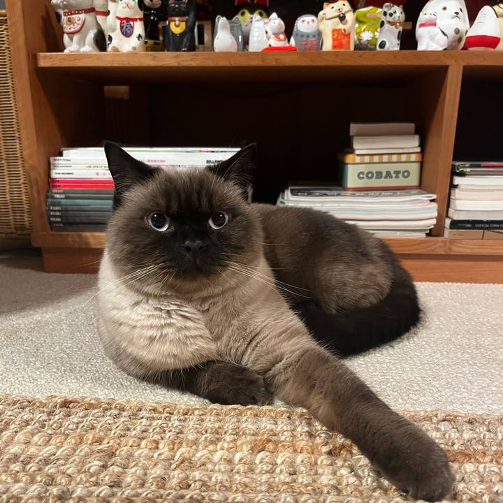 C75772a2 44da 43cb a52f 1d33db3c6be7 1668170362224