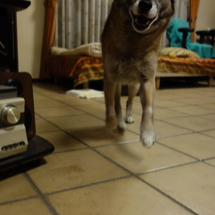 C757863d d923 4443 b6cd 56166cf951e6 1521890198426