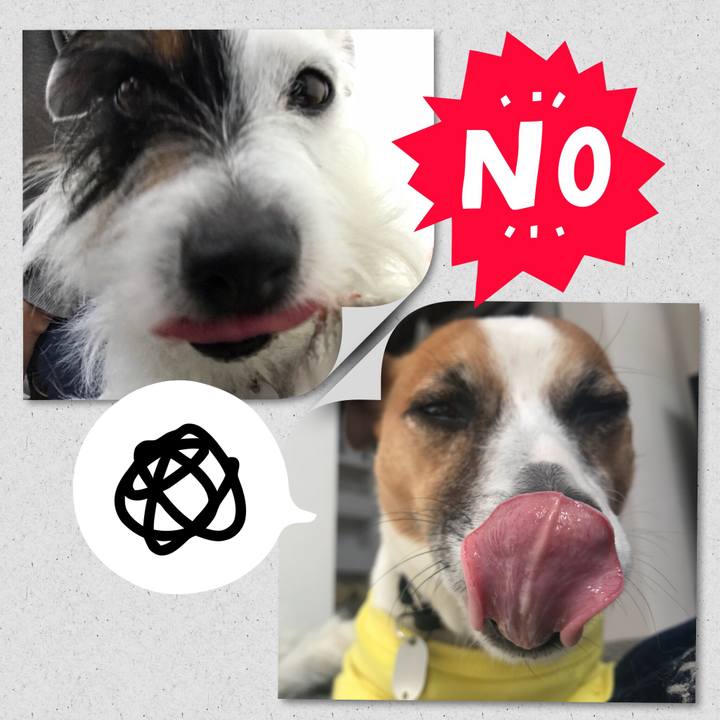 C757ae1f 7d95 457f b1ed 834972f3d3bd 1523422321928