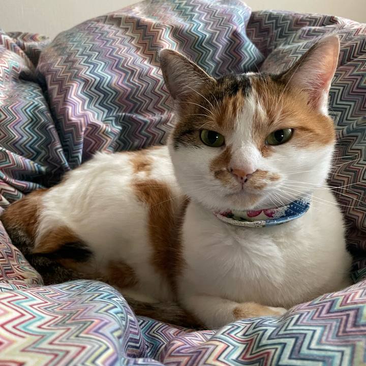 C757c803 85e5 4da7 a1b4 00ac43dc34fa 1698795300372