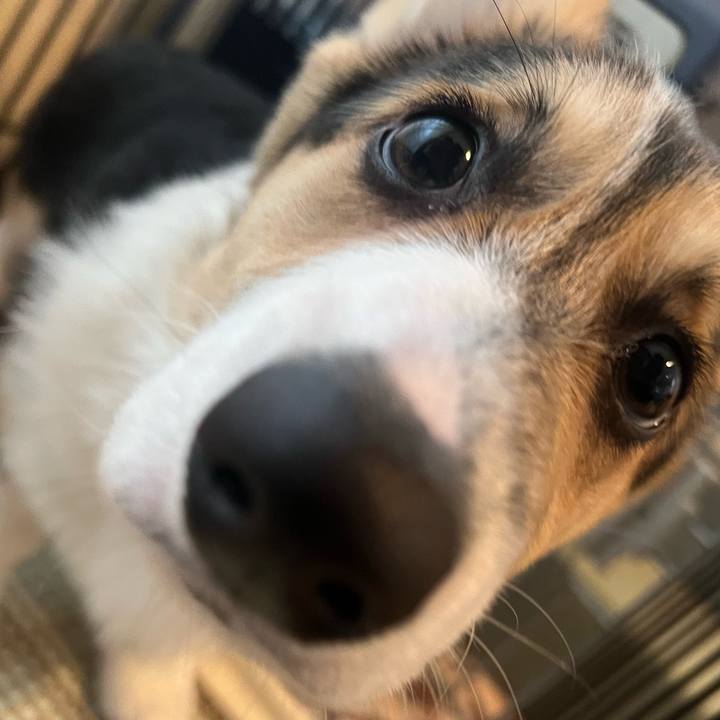 C757dd2a cd3b 4451 a31f a00c0b4eee78 1774917581654