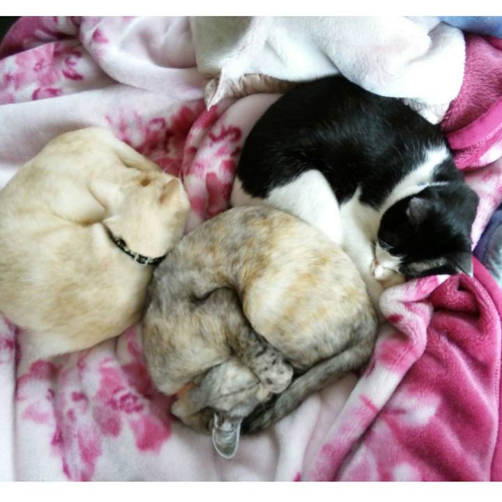 C757f043 d76a 423e b6b7 bd047d6b4554 1510464068603