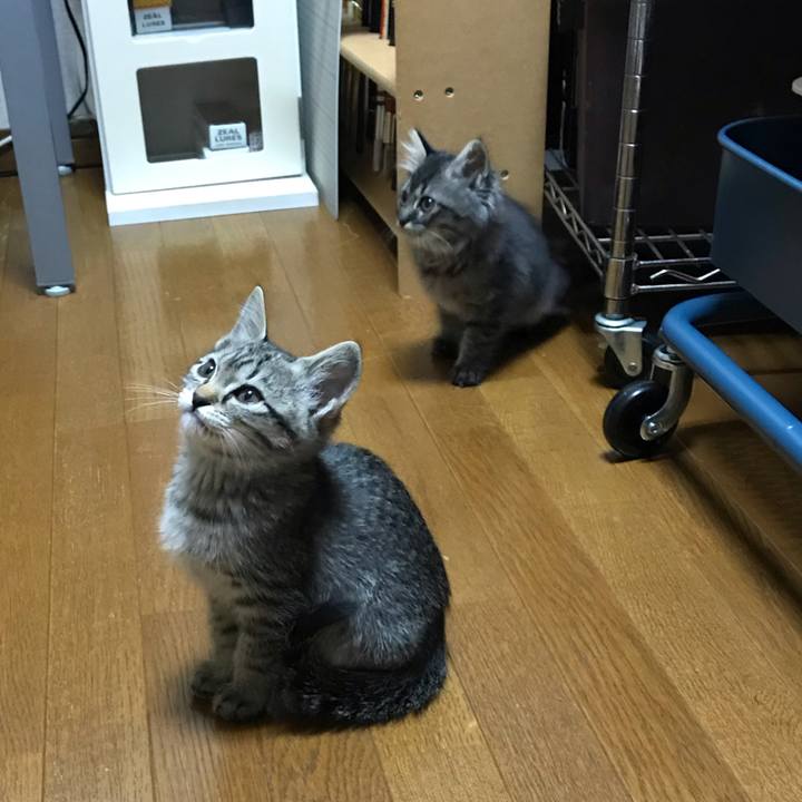 C7581937 a9a4 44a3 8ddf 3297963660f7 1573523157244