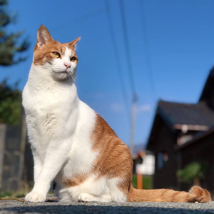 C75882fb f856 4ff5 82f1 3228f21b9505 1541907049169