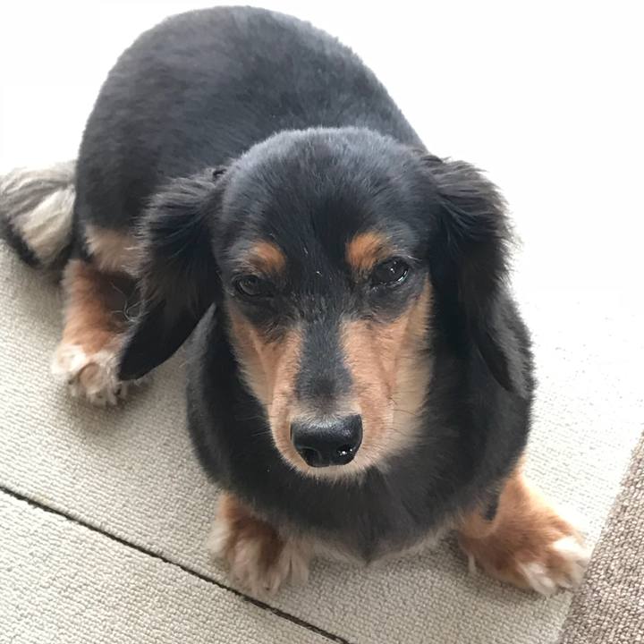 C758cc6e 5af2 4aef bb49 1792df238b06 1534198566403