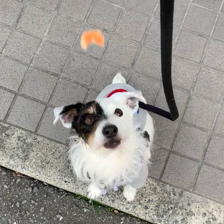 C758edae 4cdb 4190 82c2 8da052c3ddca 1712536358226