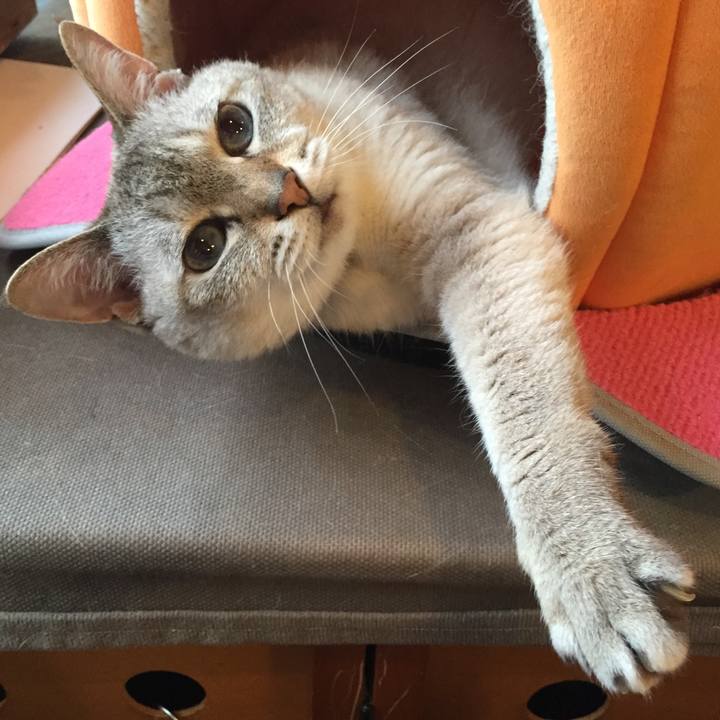 C7592d4d b08a 4298 bd9e 0a3c6825133e 1530961949838