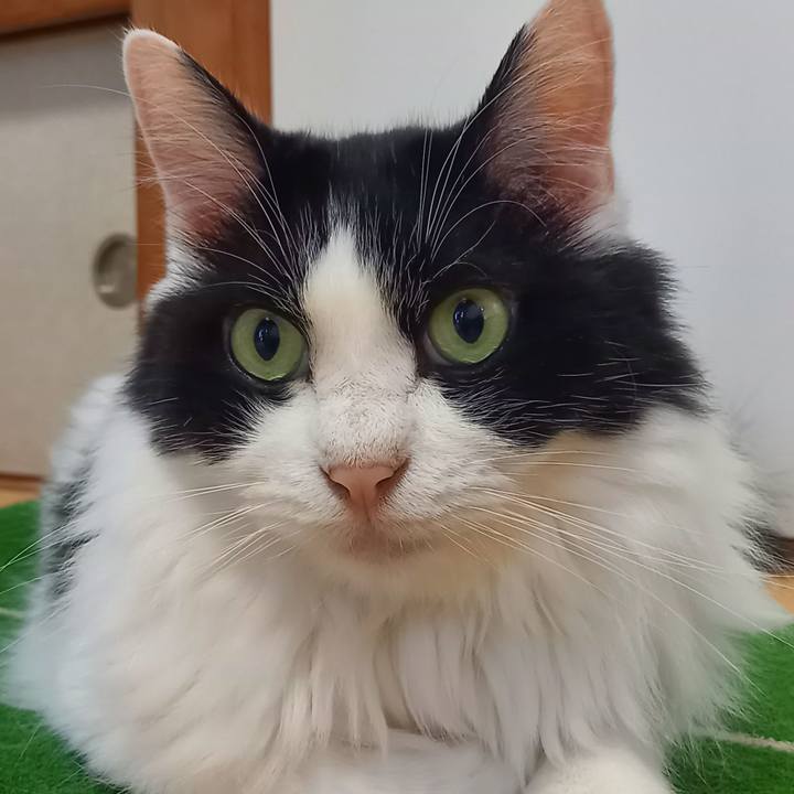 C7594876 6f24 4c6b 9db7 ad1b02a0bdfc 1659138738640