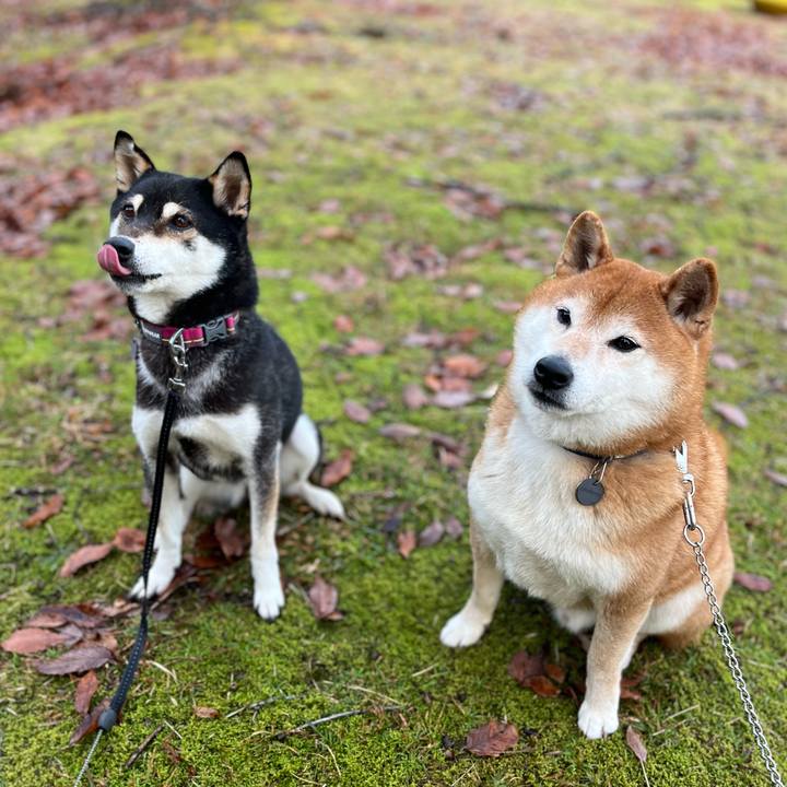 C7595337 bf6a 49bf 813b bee6966c17c5 1674184788500