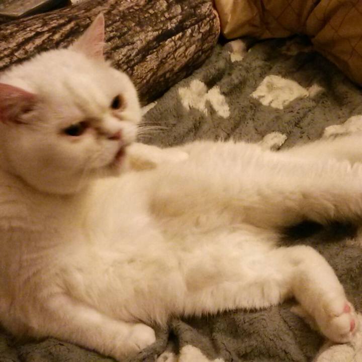 C7597b22 3157 4660 b97c 033eb8ffbee1 1529586138077