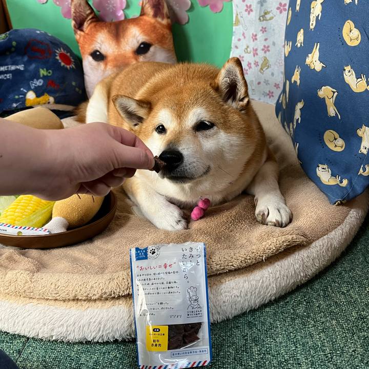 C759a82d 4d91 4a1f b840 4dd204e075e5 1650258592601