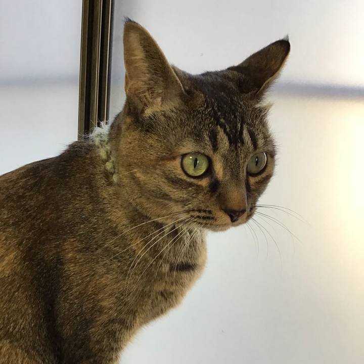 C759b027 110d 43dd b084 545f96919395 1643877847973