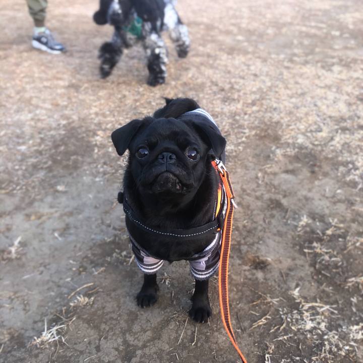 C759c488 7535 409e 87e3 b6dffbc30a52 1610751275128