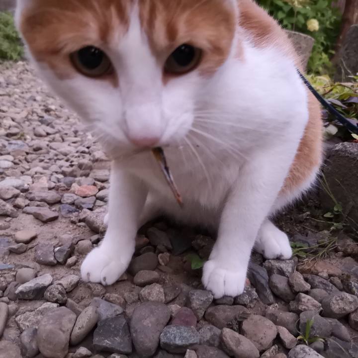 C759d093 9c3c 443e b644 cb45d1812592 1531638007263