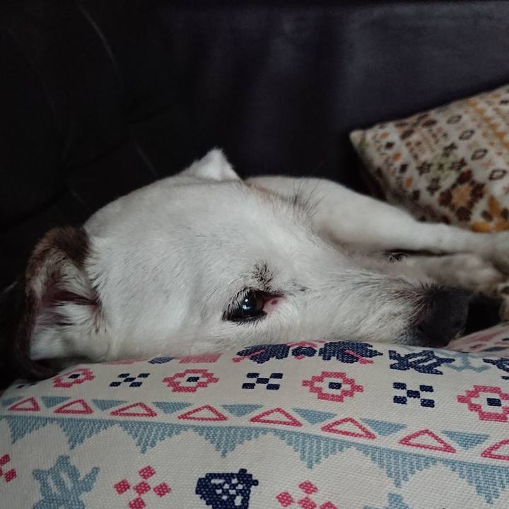 C75a0bae 7362 47f2 9a56 7b9b886c6b4c 1561937314741