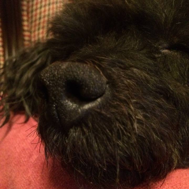 C75a272a fd7a 4fc2 9c5f 9c565a7fa43f 1523614612964