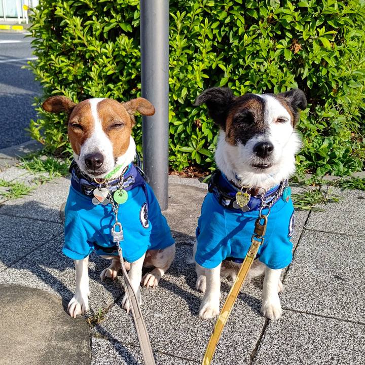 C75a6980 5109 43d5 a43a 0944b9254241 1655070243056