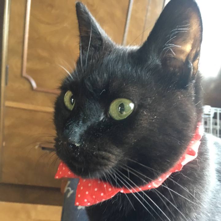 C75a7c77 ee7b 4cbb 9a95 3f54571a6620 1537739100421