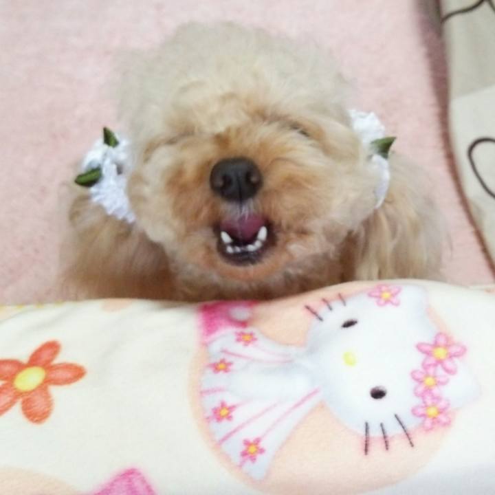 C75a9de9 23aa 4dd7 88f5 52aba67f0e68 1540379175231