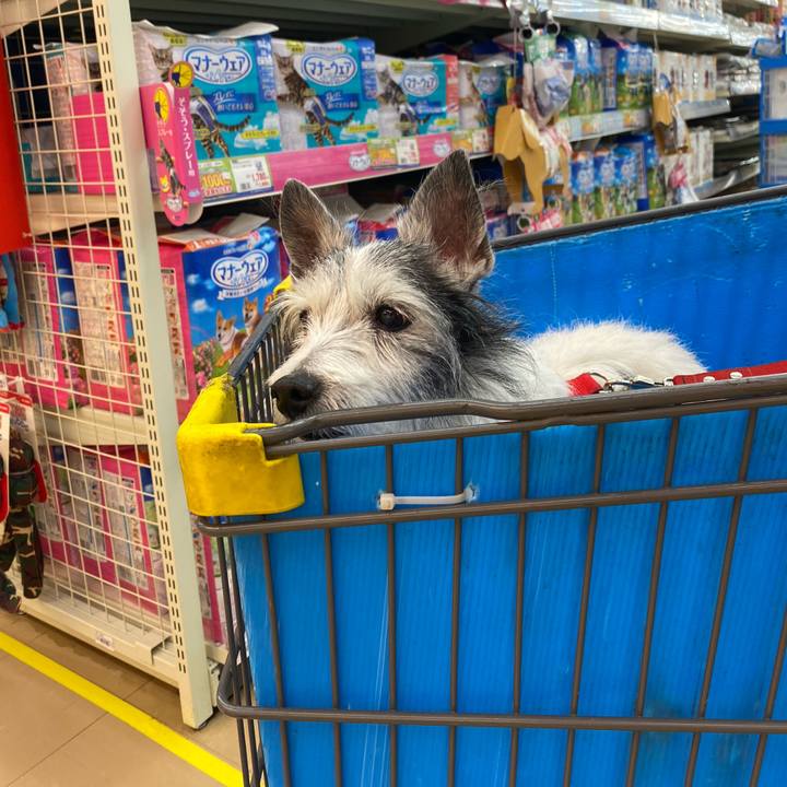 C75ac8c1 68b7 4532 84d1 aef46873b8de 1613905933092