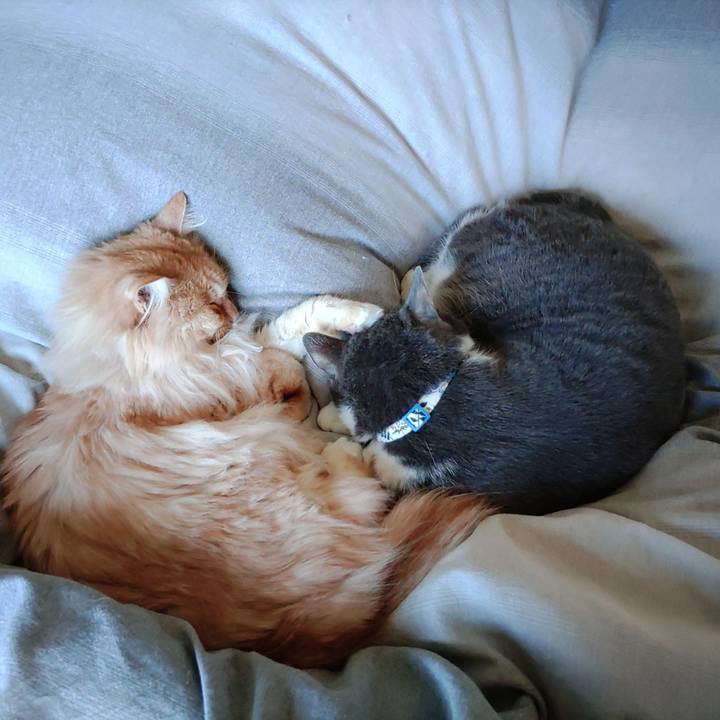 C75aece5 859a 4ec6 a153 5fbbea139cab 1681010908046