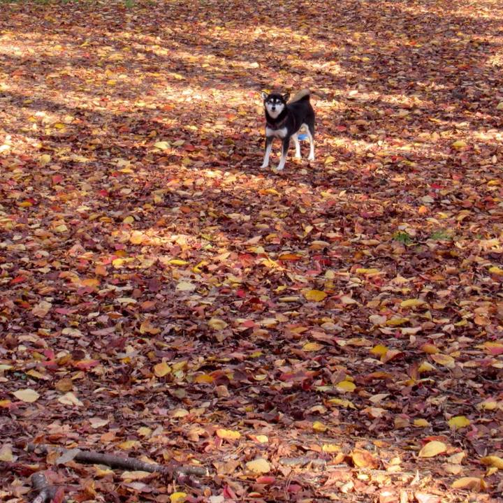 C75b149b bd6c 4332 9bd6 5087023a46ee 1574212723891