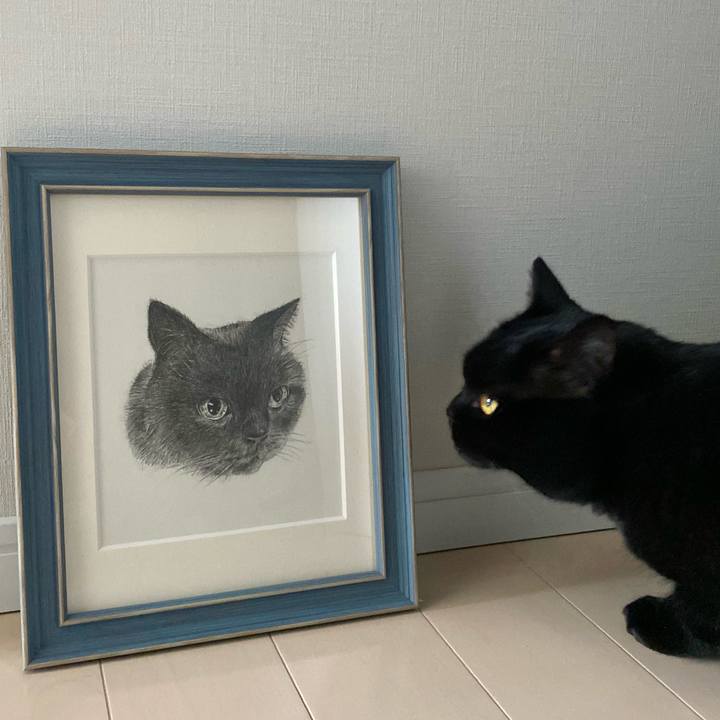 C75b2b04 a6c0 4590 bec4 3b4bb96bb2e3 1644102991464