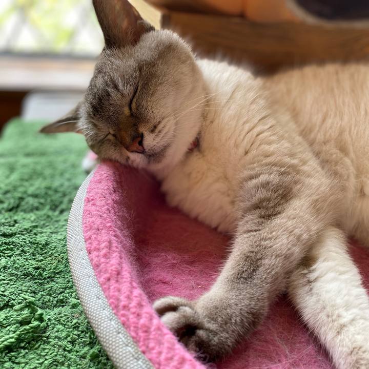 C75b33fa b8c7 4a2e 8d1f fbb8d818af1a 1596329175498