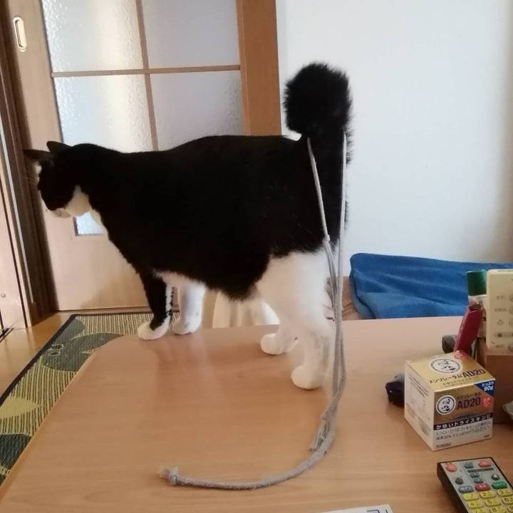 C75b35b0 f32e 4b65 bd08 9f4255180099 1601367406040