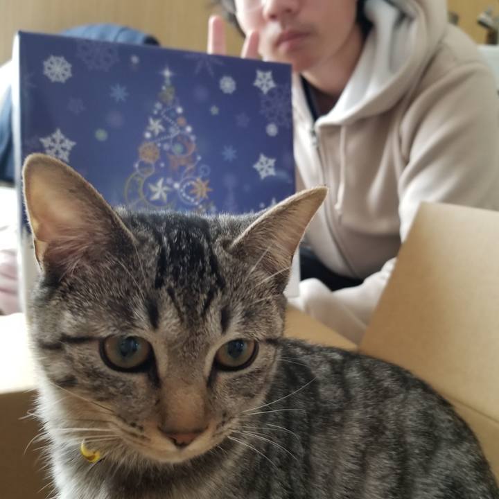 C75b4f02 b8fa 4d95 932c 30f3e46bc582 1671804264682