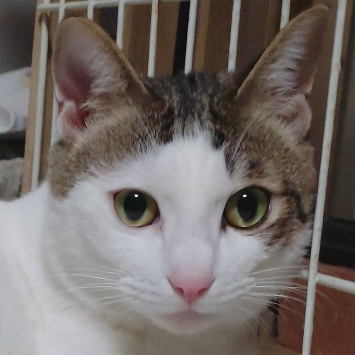 C75b637b eba9 4db2 b8f7 16383de3013e 1672821103499