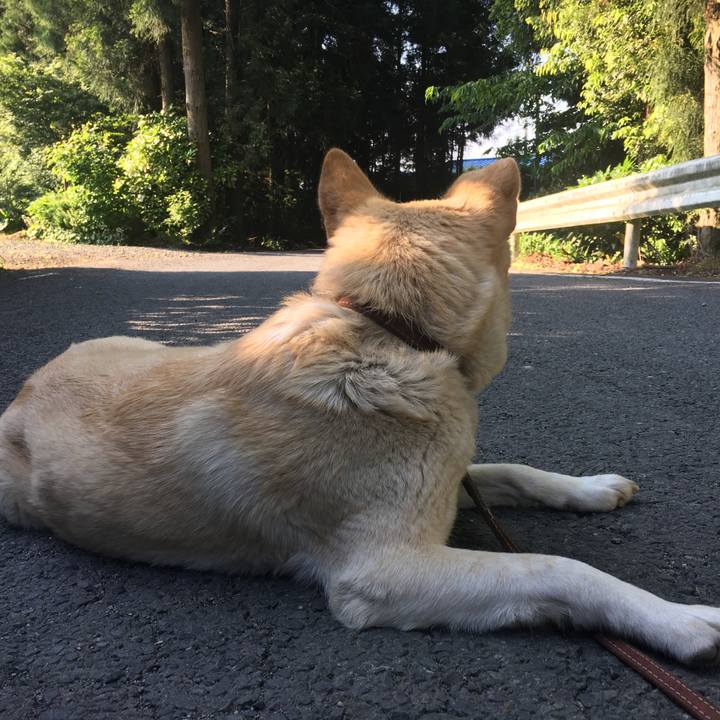 C75bbf5e b7ba 472a 8635 f2faa3d13df5 1528019855448