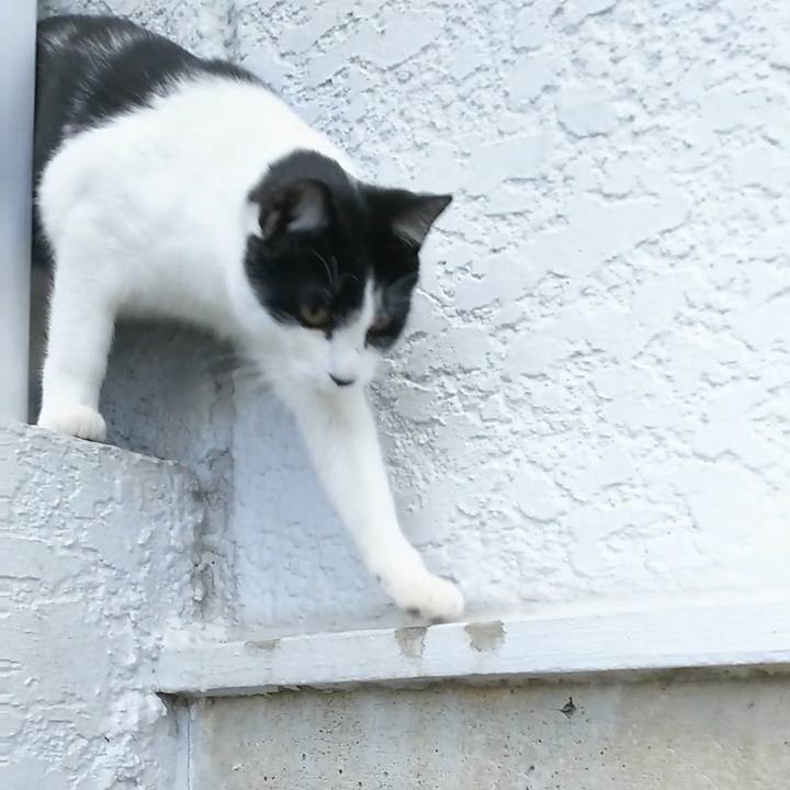 C75bf165 f910 455e a184 de1624b01931 1542960062334