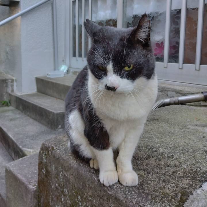 C75bf7b6 64de 42b7 9ca3 c9d4b9c698d7 1703200615923