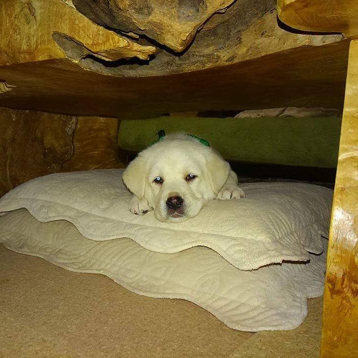 C75c20d9 b541 4c52 b2c8 a63986a63bbf 1523878322901