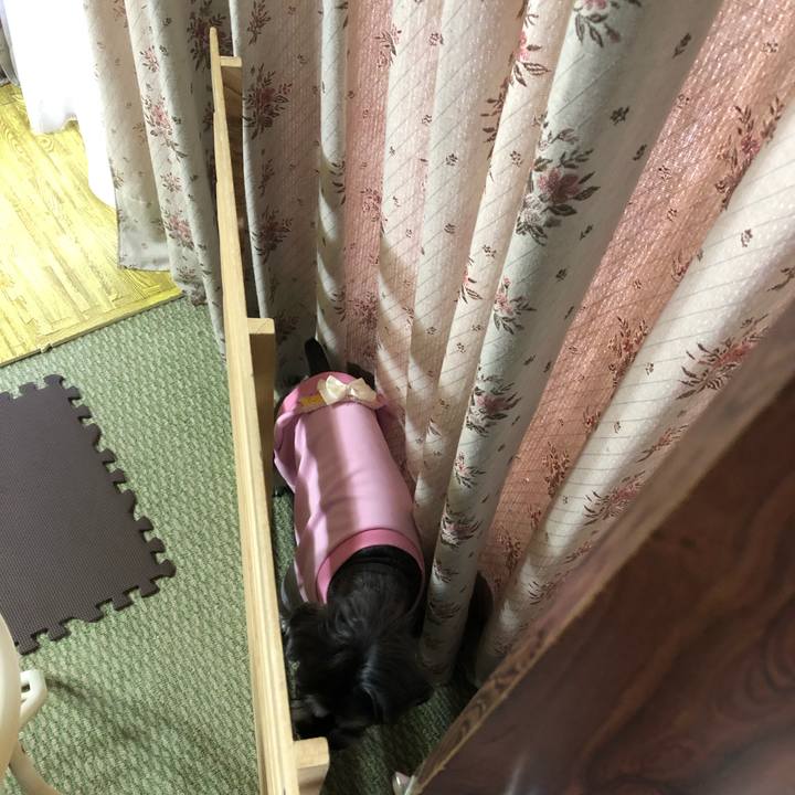 C75c5888 dbb3 4c0d bcd1 76fa404270d6 1669182518650