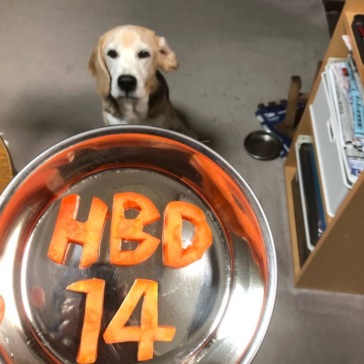 C75c6369 705c 46e8 bcb1 5fd9dbf52cb8 1555052543852