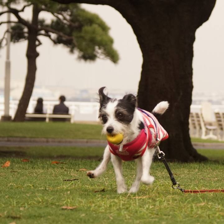 C75c7eb4 1a77 487b 8cbd f027be85edf5 1633601575125