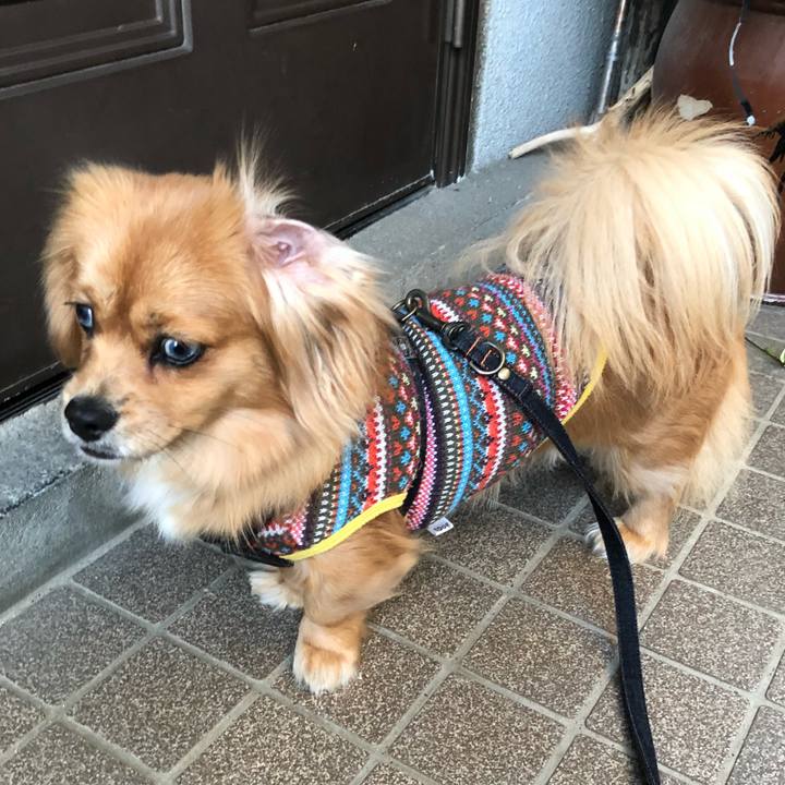 C75c9f6b 5341 4130 a08b bc1f9235e821 1516487687551